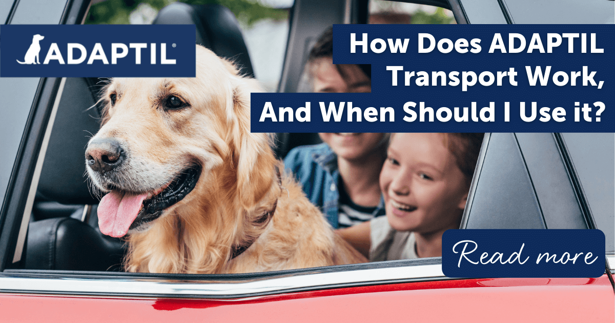 how-does-adaptil-transport-work-and-when-should-i-use-it